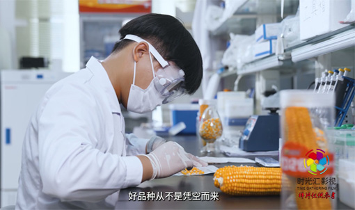 河南种子行业宣传片|农业科技宣传片|河南